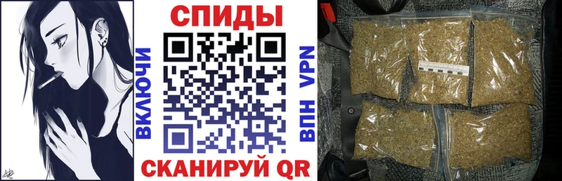 БУТИРАТ 1.4BDO hydra как зайти Пошехонье