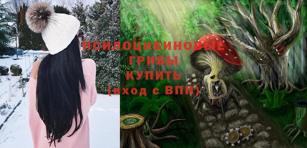 spice Алексеевка