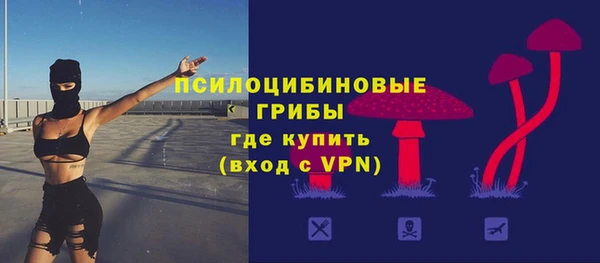 spice Алексеевка