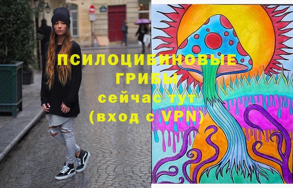 амф Алзамай
