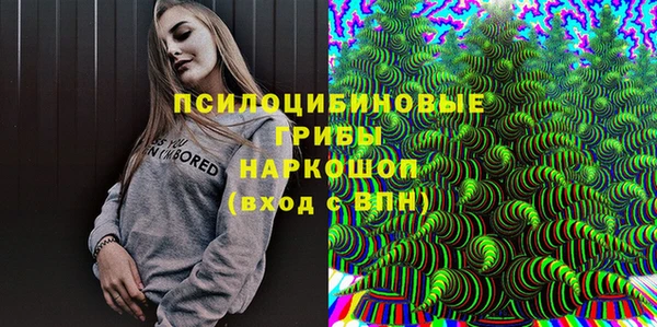 амф Алзамай