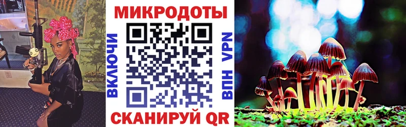 Галлюциногенные грибы GOLDEN TEACHER  даркнет сайт  hydra сайт  Пошехонье 